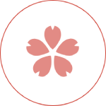 Calendario de flores de cerezo de Kyoto 2024