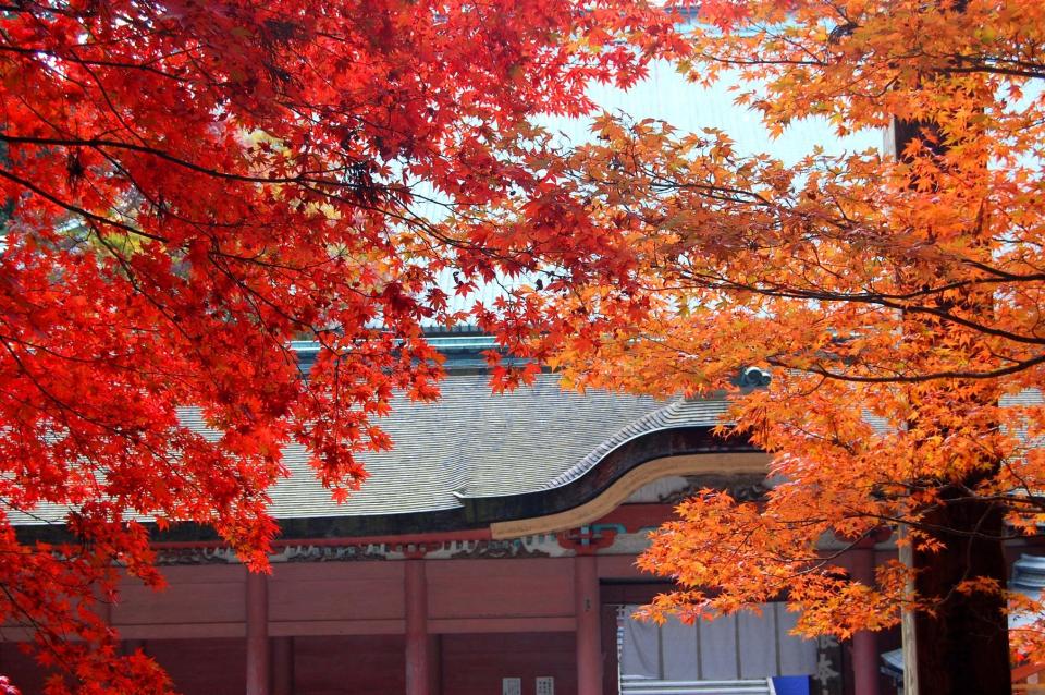 Mt.Hiei-zan Enryaku-ji Temple