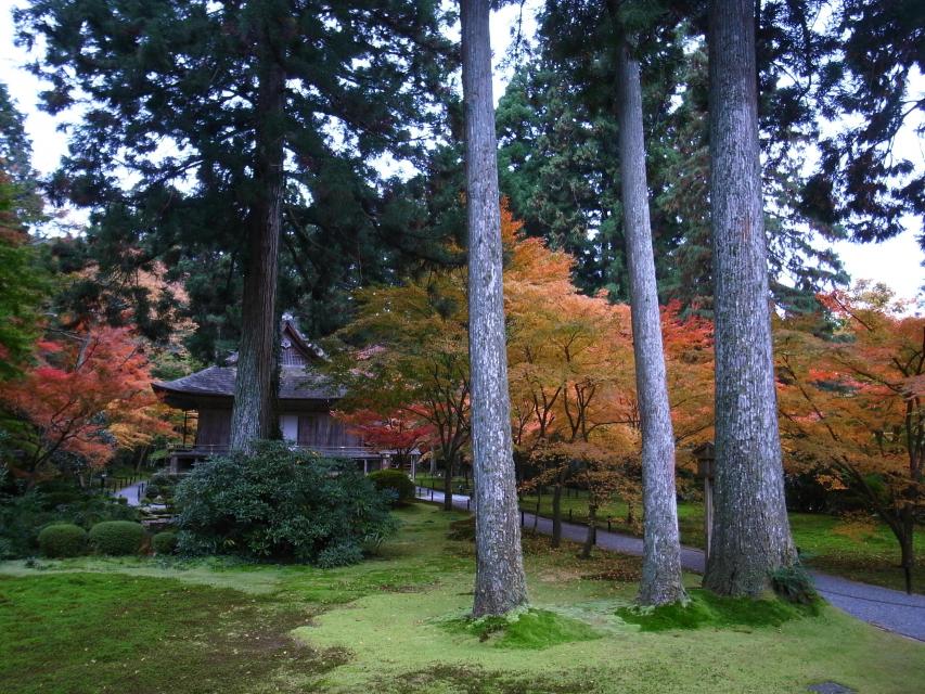 Sanzen-in Temple