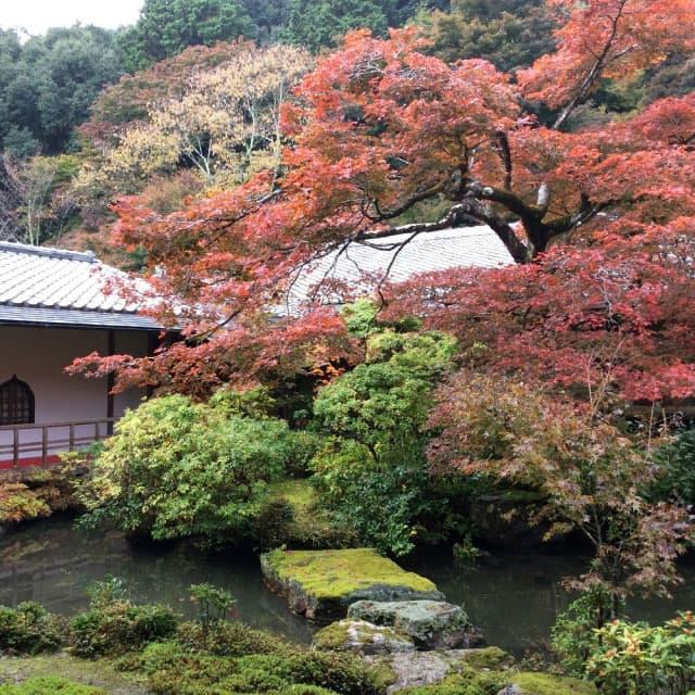 Jisso-in Temple