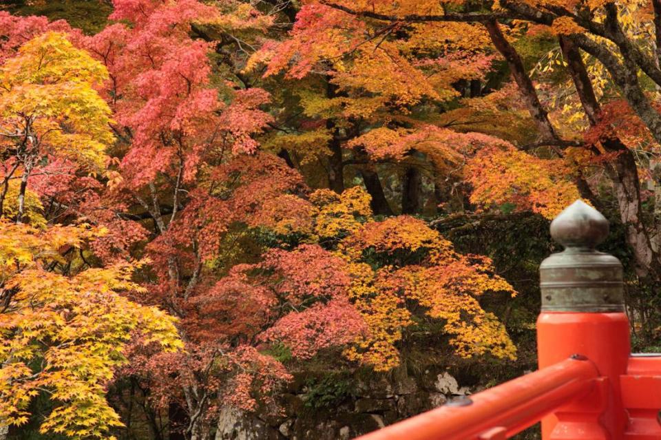 Kurama-dera Temple