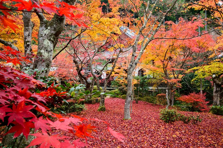 Enko-ji Temple