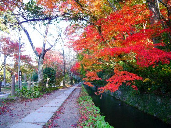 The Philosophier's Path(Tetsugaku-no-michi Street)