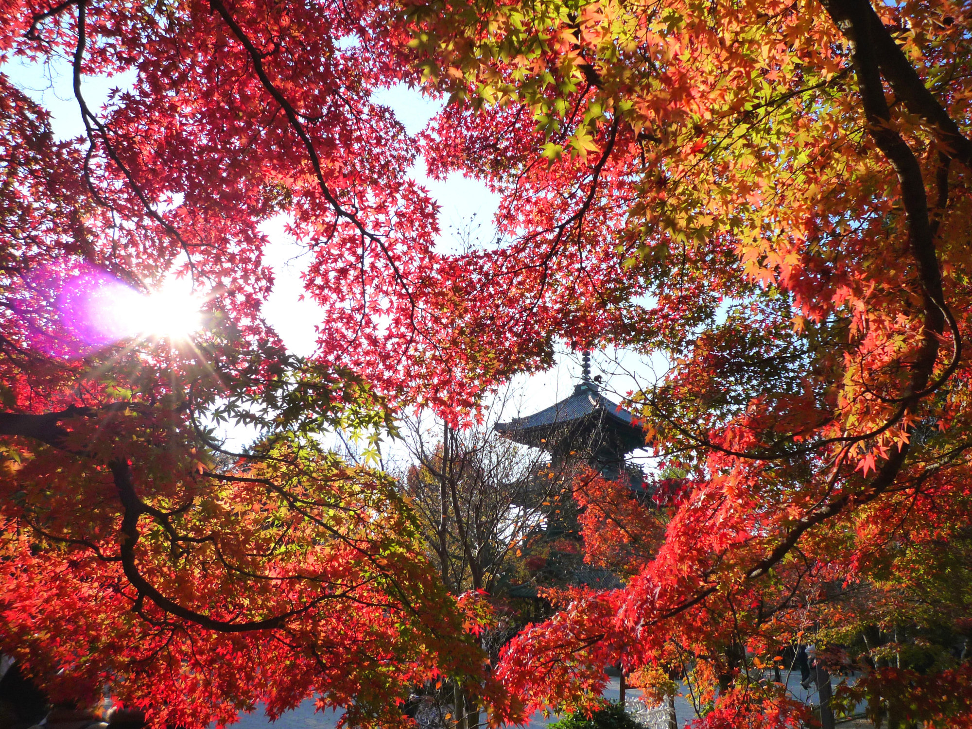 Shinnyo-do Temple