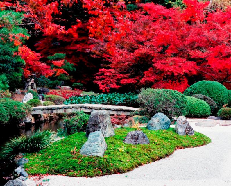 Konkai Komyo-ji Temple