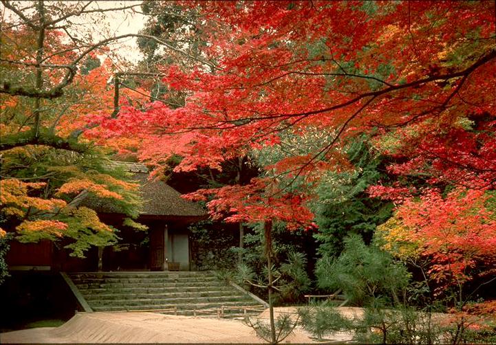 Honen-in Temple