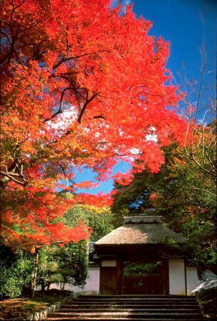 Anraku-ji Temple