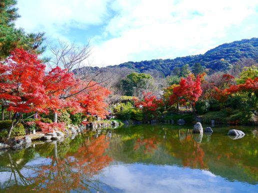 Maruyama Park