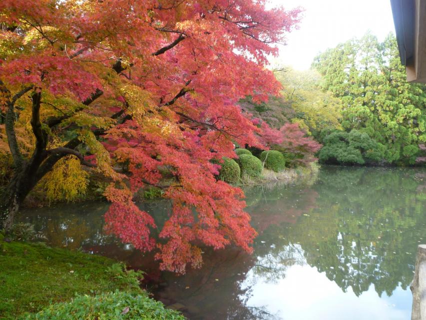 Kyoto Botanical Gardens