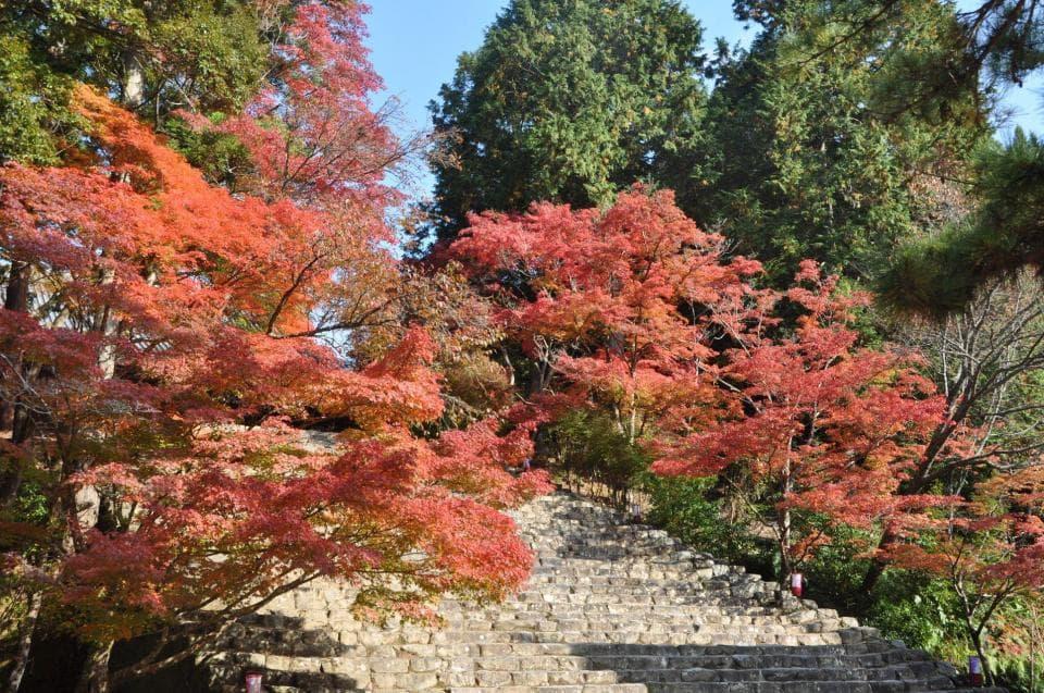 Jingo-ji Temple