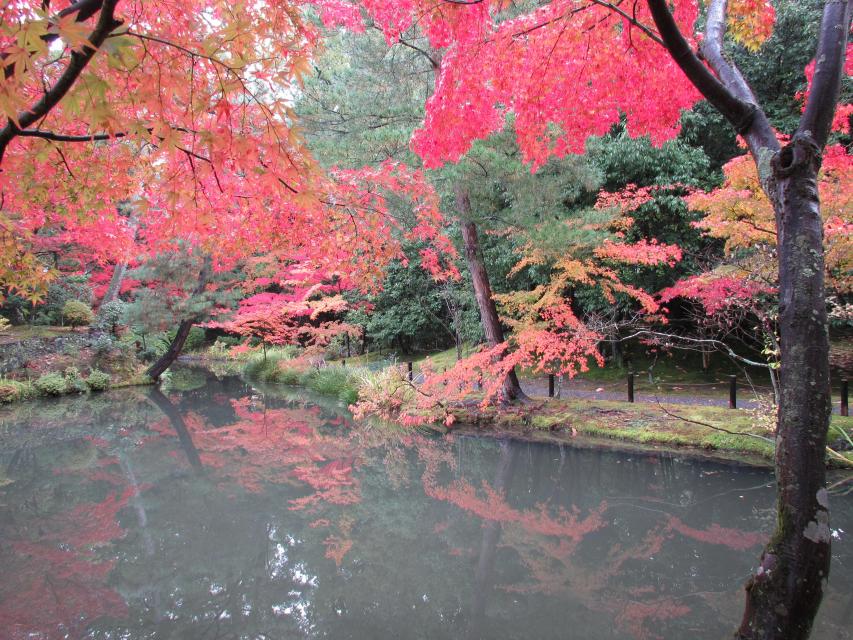 Toji-in Temple