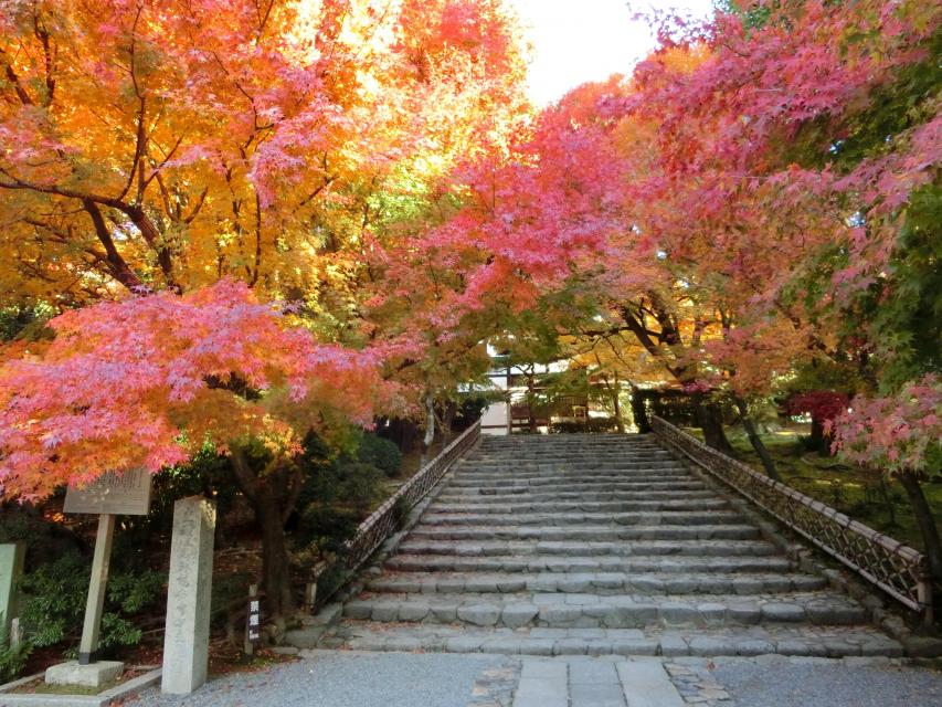 Ryoan-ji Temple