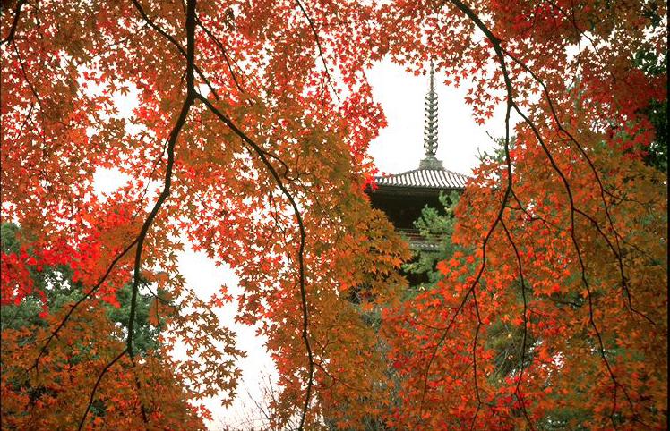 Ninna-ji Temple