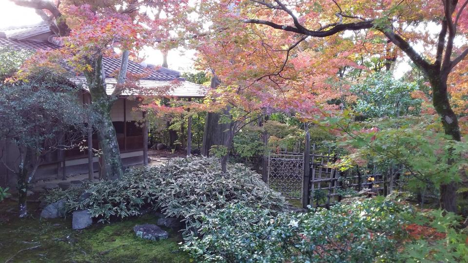 Myoshin-ji Daiho-in Temple