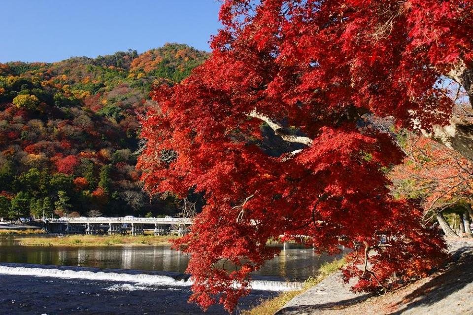 Arashiyama