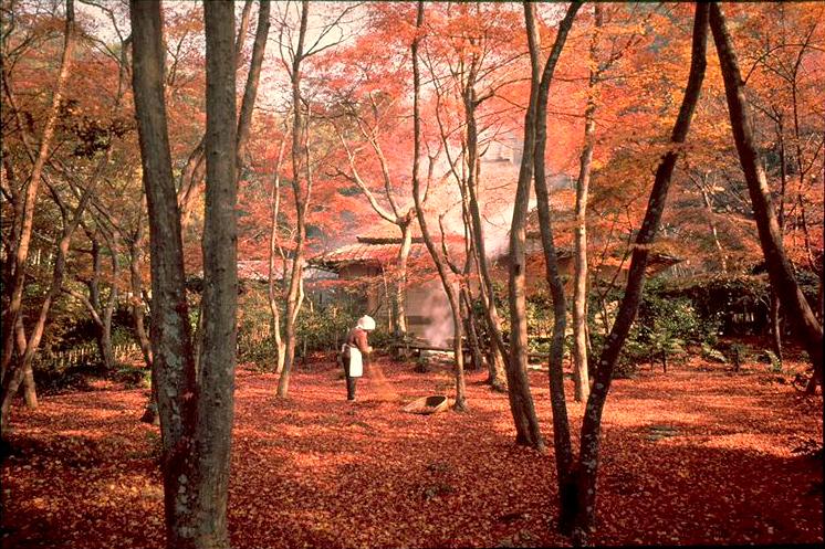 Gio-ji Temple