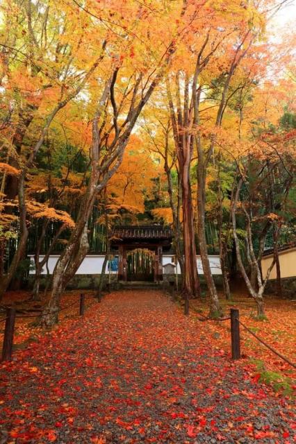 Jizo-in Temple (The Bamboo Temple)