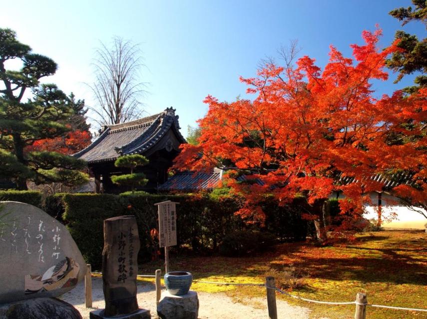 Zuishin-in Temple