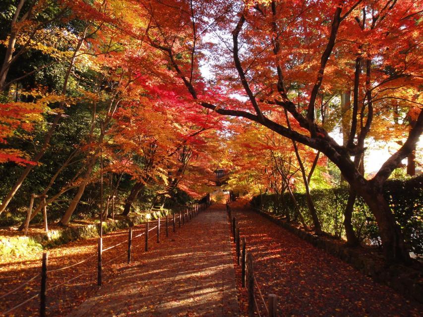 Nagaokakyo City: Komyo-ji Temple