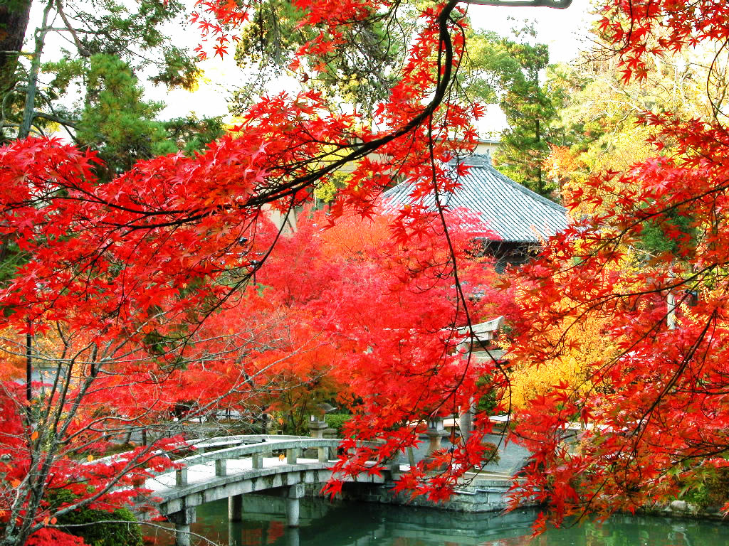 Eikan-do Temple