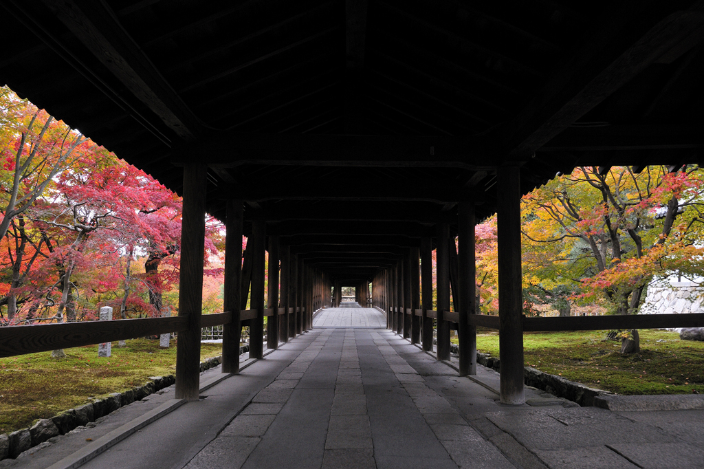 Tofuku-ji Temple