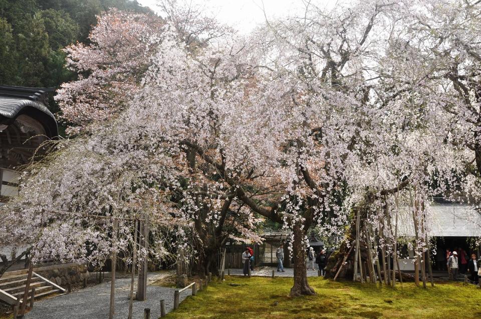 Joshoko-ji Temple