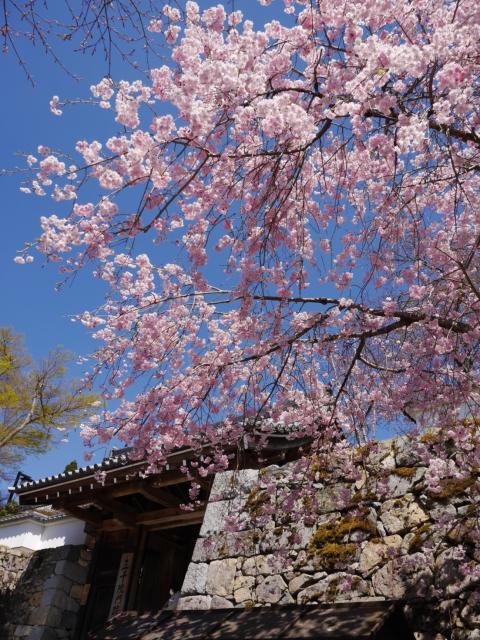 Sanzen-in Temple