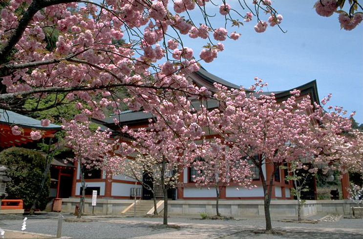 Kurama-dera Temple