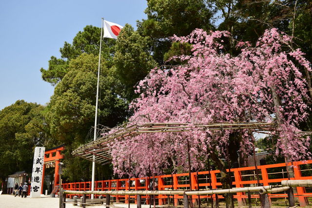 Kamigamo-jinja Shrine