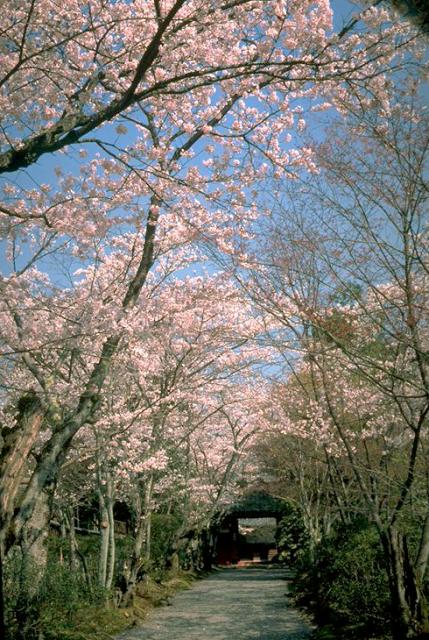 Josho-ji Temple