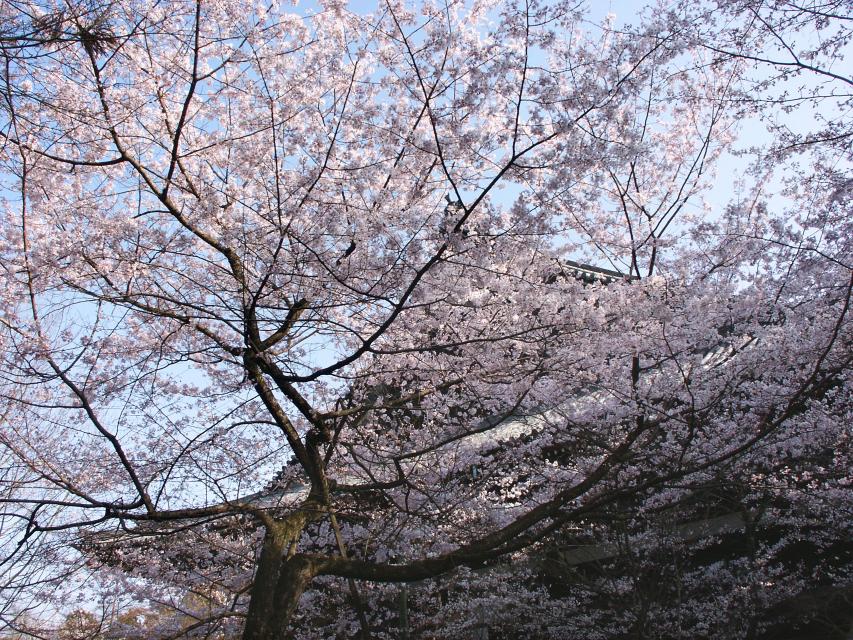 Shinnyo-do Temple