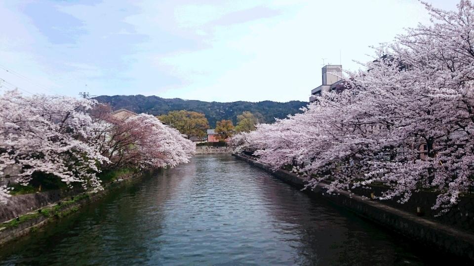 Okazaki Canal