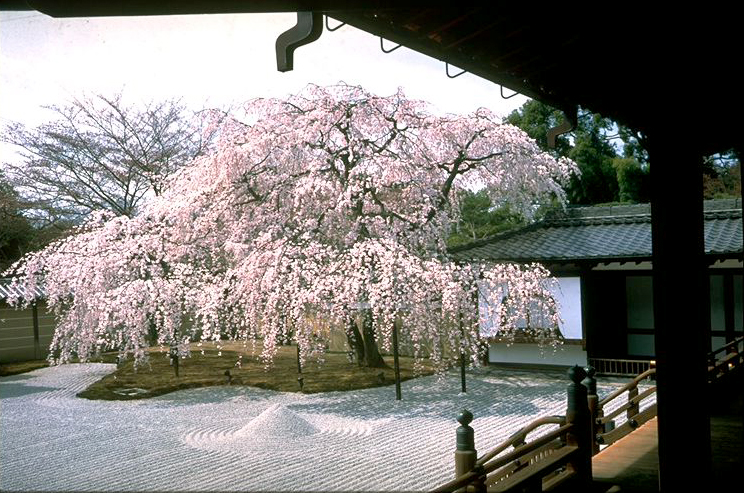 Kodai-ji Temple