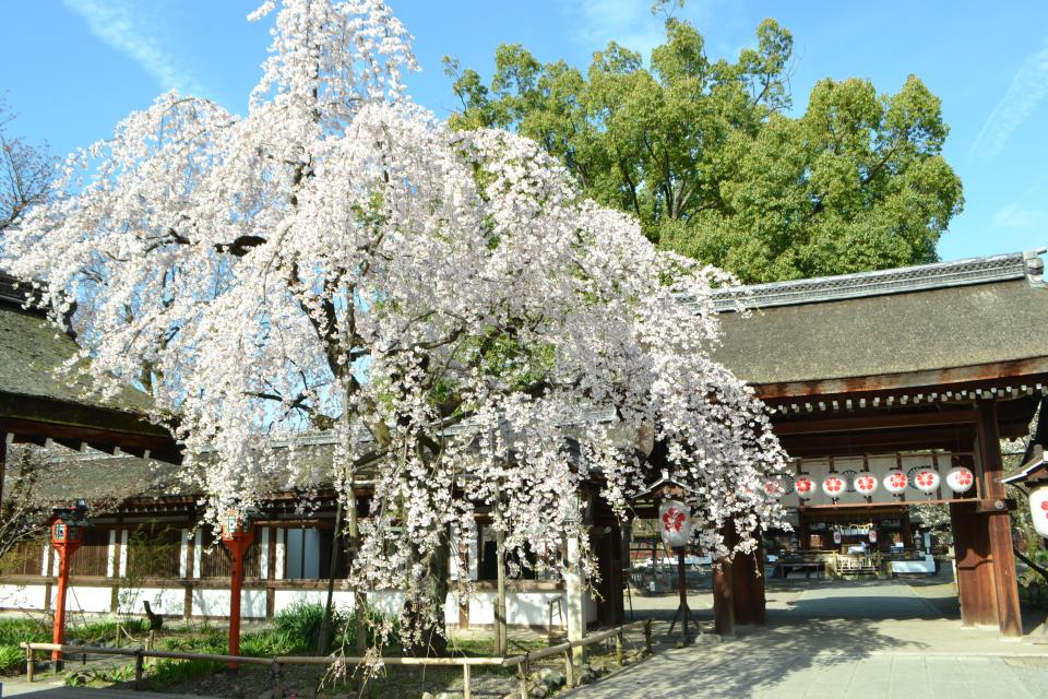 Hirano-jinja Shrine
