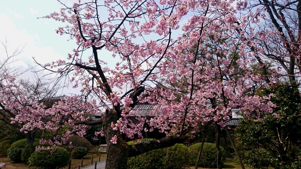 Shosei-en Garden