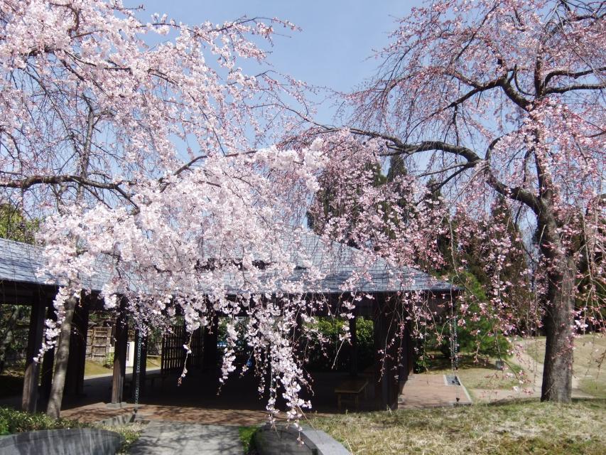 Umekoji Park