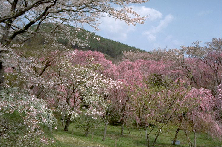 Haradani-en Garden