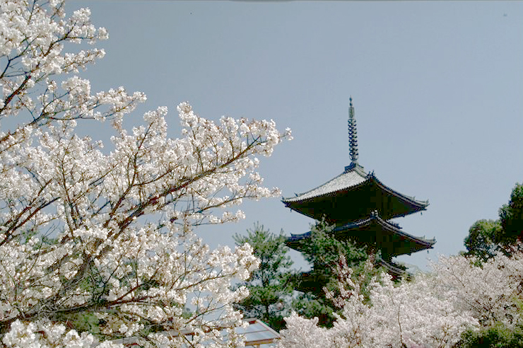 Ninna-ji Temple