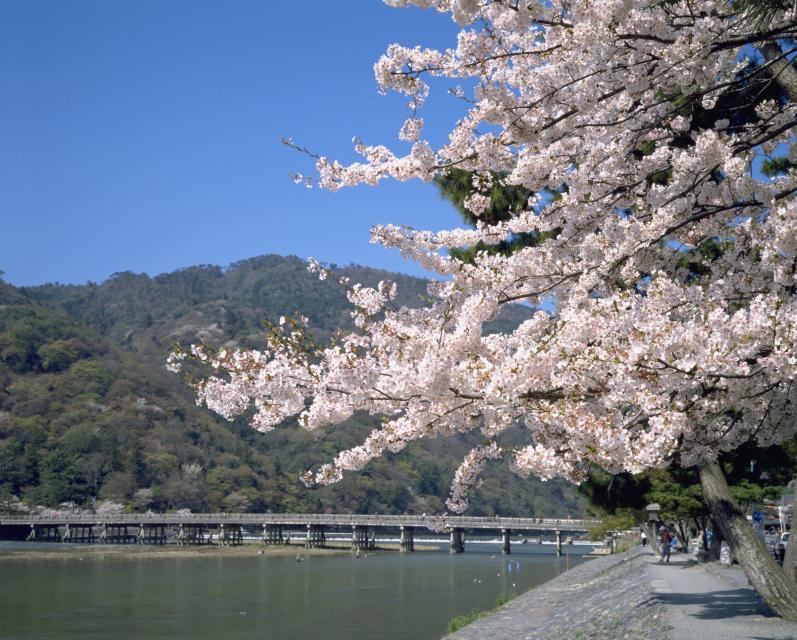 Arashiyama