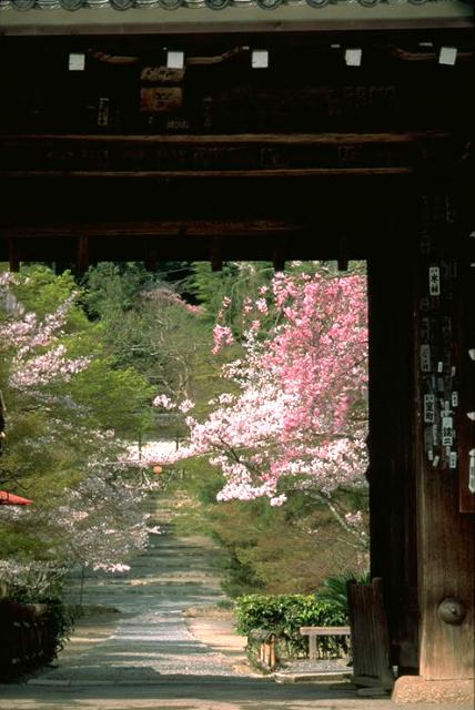 Nison-in Temple