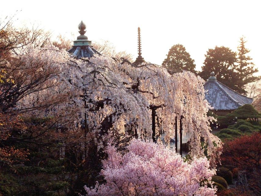 Yoshimine-dera Temple