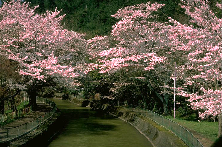 Yamashina Canal