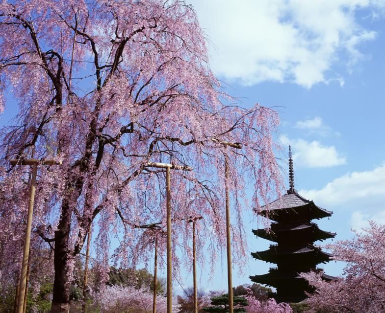 To-ji Temple