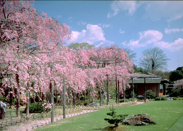 Jonan-gu Shrine