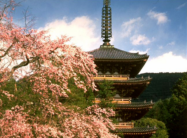 Daigo-ji Temple