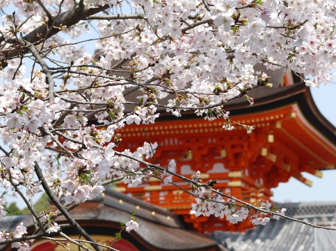 Iwashimizu-hachimangu Shrine