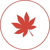 Calendrier des feuilles d'automne de Kyoto 2024