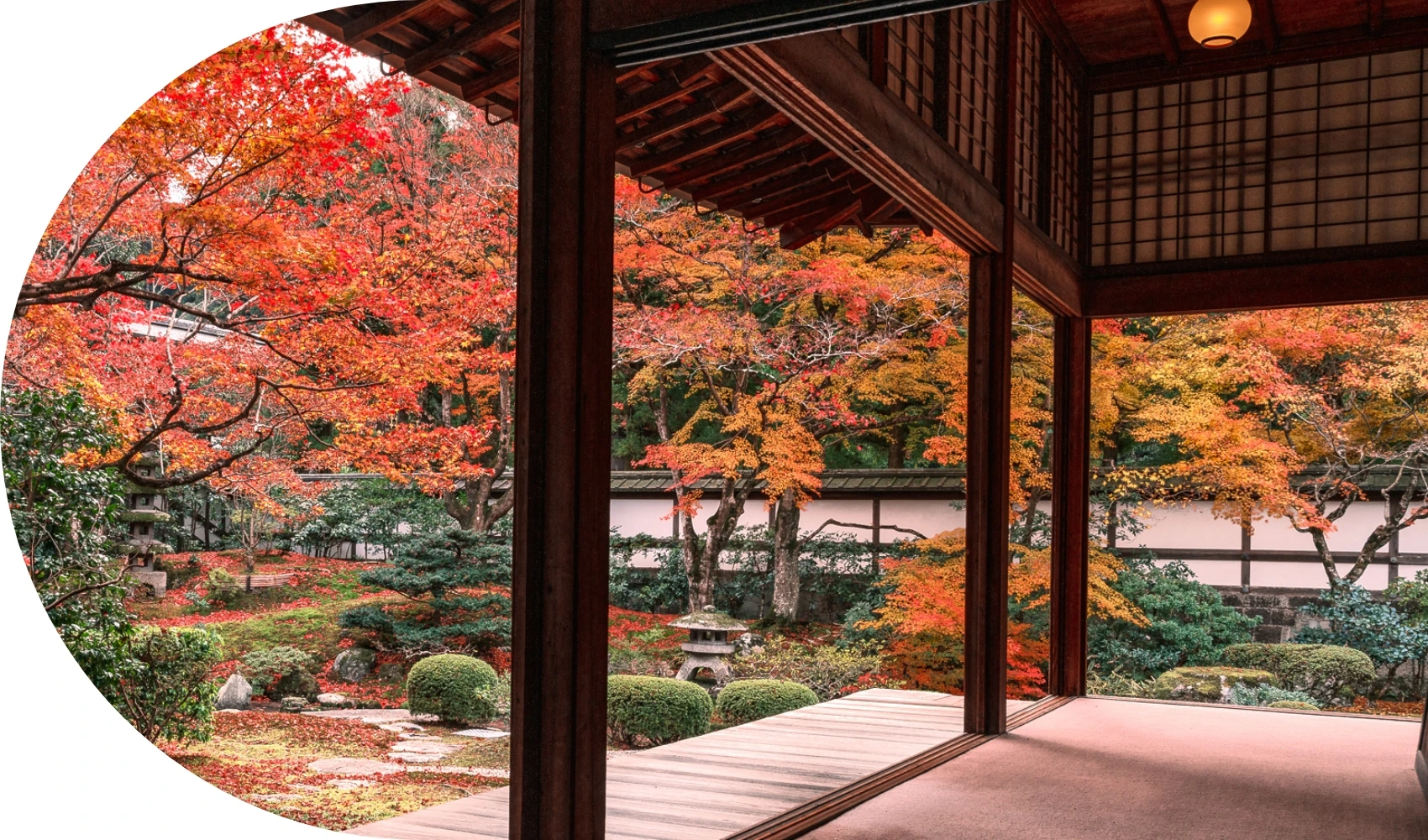 Discover Kyoto